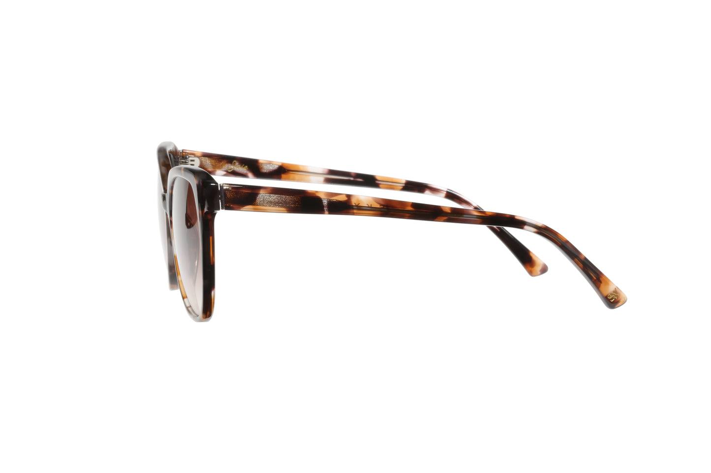 JOIE- Tortoise/ Brown Gradient